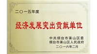經濟發(fā)展突出貢獻單位