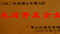 2002年萊山區(qū)先進(jìn)開發(fā)單位
